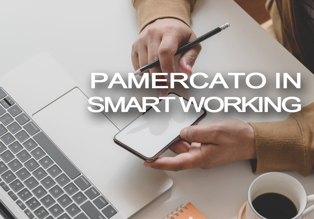 PAMERCATO IN SMART WORKING